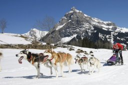 Kandersteg 2011