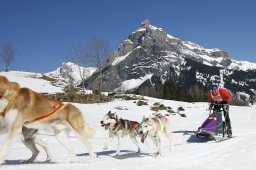 Kandersteg 2011