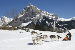 Kandersteg 2011