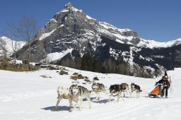 Kandersteg 2011