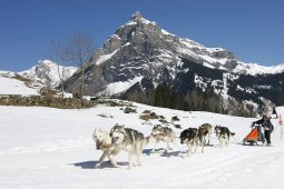 Kandersteg 2011