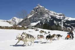 Kandersteg 2011