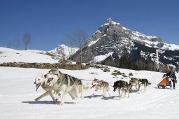 Kandersteg 2011