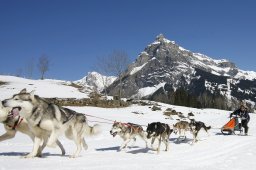 Kandersteg 2011