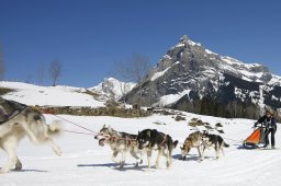 Kandersteg 2011