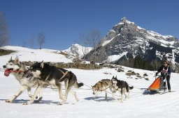 Kandersteg 2011