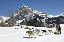 Kandersteg 2011