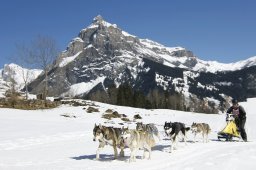 Kandersteg 2011