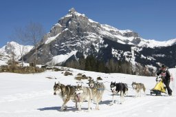 Kandersteg 2011