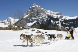 Kandersteg 2011