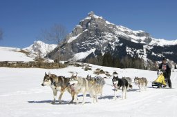 Kandersteg 2011