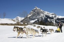 Kandersteg 2011