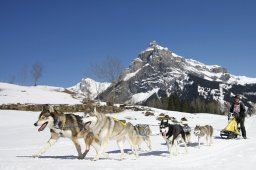 Kandersteg 2011