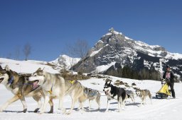 Kandersteg 2011