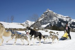 Kandersteg 2011