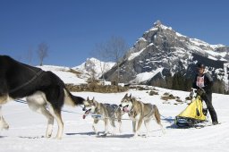 Kandersteg 2011