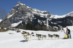 Kandersteg 2011