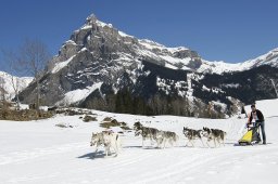 Kandersteg 2011