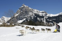 Kandersteg 2011