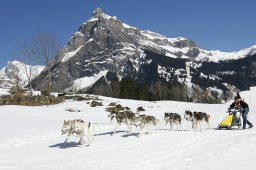 Kandersteg 2011