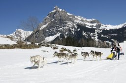 Kandersteg 2011