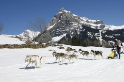 Kandersteg 2011