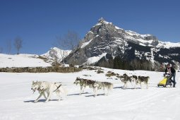 Kandersteg 2011