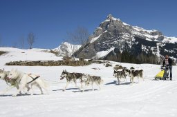 Kandersteg 2011