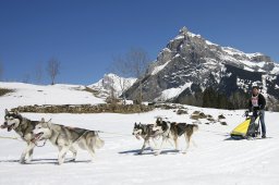 Kandersteg 2011