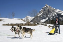 Kandersteg 2011