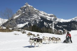 Kandersteg 2011