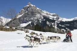 Kandersteg 2011