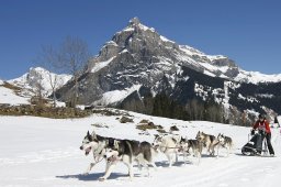 Kandersteg 2011