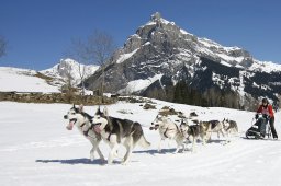 Kandersteg 2011