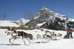 Kandersteg 2011