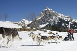 Kandersteg 2011