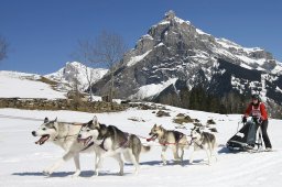 Kandersteg 2011