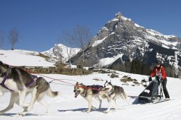 Kandersteg 2011