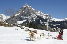 Kandersteg 2011