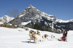 Kandersteg 2011