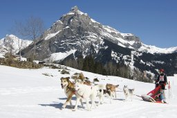 Kandersteg 2011