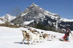 Kandersteg 2011