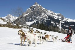 Kandersteg 2011