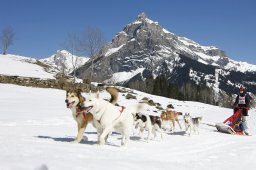 Kandersteg 2011