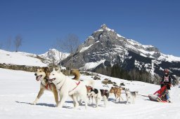 Kandersteg 2011