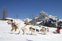 Kandersteg 2011