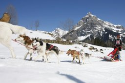 Kandersteg 2011