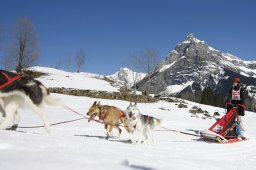 Kandersteg 2011