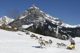 Kandersteg 2011