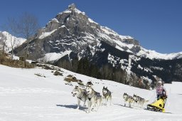 Kandersteg 2011